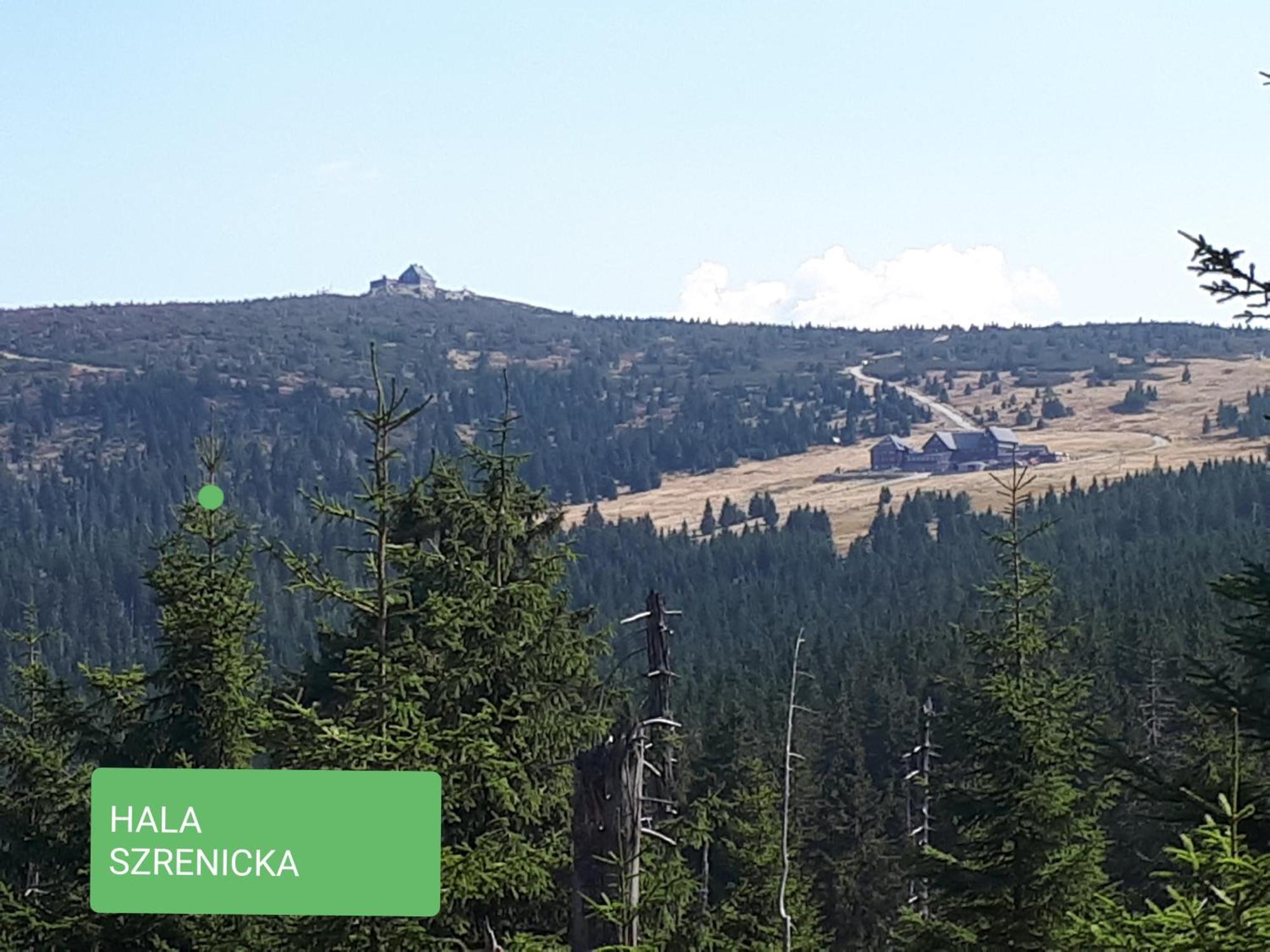 Apartmán Przy Szlaku, Gorny, Zolnierska 73a